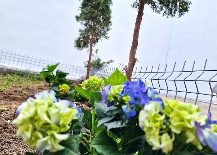 Azzur Hotel de apartamente